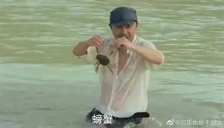 中国体育娱乐平台-尼斯与图卢兹法甲对决前瞻